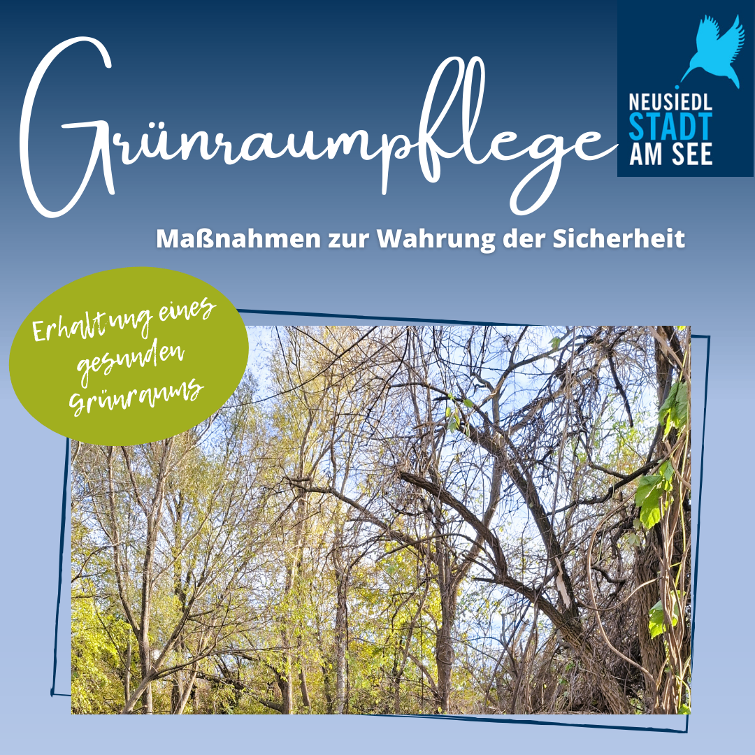 Poster mit blauem Hintergrund und Text 'Grunraumpflege' in weiß. Es enthält ein Bild eines Waldes und einen grünen Kreis mit dem Text 'Erhaltung eines gesunden Grünraums'. Das Poster bewirbt Maßnahmen zur Erhaltung der Sicherheit.