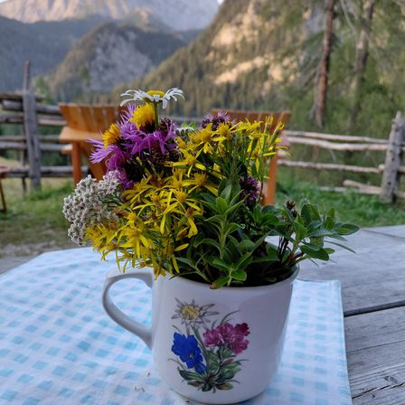 Eine weiße Tasse mit Blumen auf einem Tisch. Sie steht auf einem karierten Tuch. Hinter der Tasse befindet sich ein Holzzaun.
