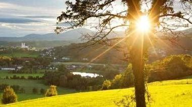 v1_migrated_image_73524097