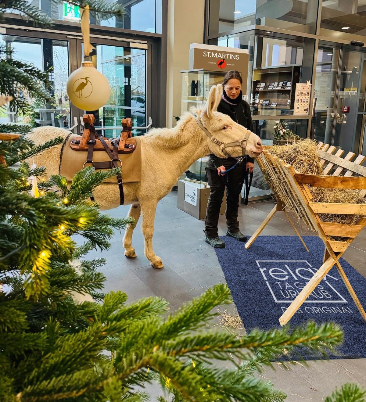 Adventfenster_EinEselgingnachSt.Martins