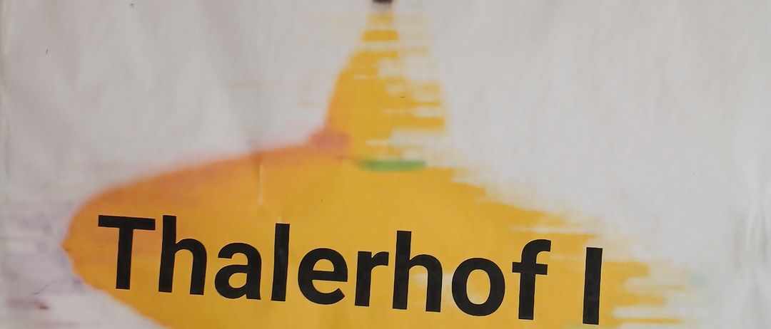 Ein weißes Banner mit einem gelben, mehrfarbigen kreisförmigen Design und schwarzem Text. Der Text lautet 'ESV - Forst Thalerhof I'.