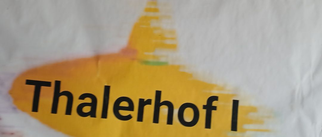 Ein weißer Banner zeigt den Text 'ESV Forst Thalerhof I' in Schwarz. Der Hintergrund ist eine Mischung aus gelben, grünen und roten Farben.