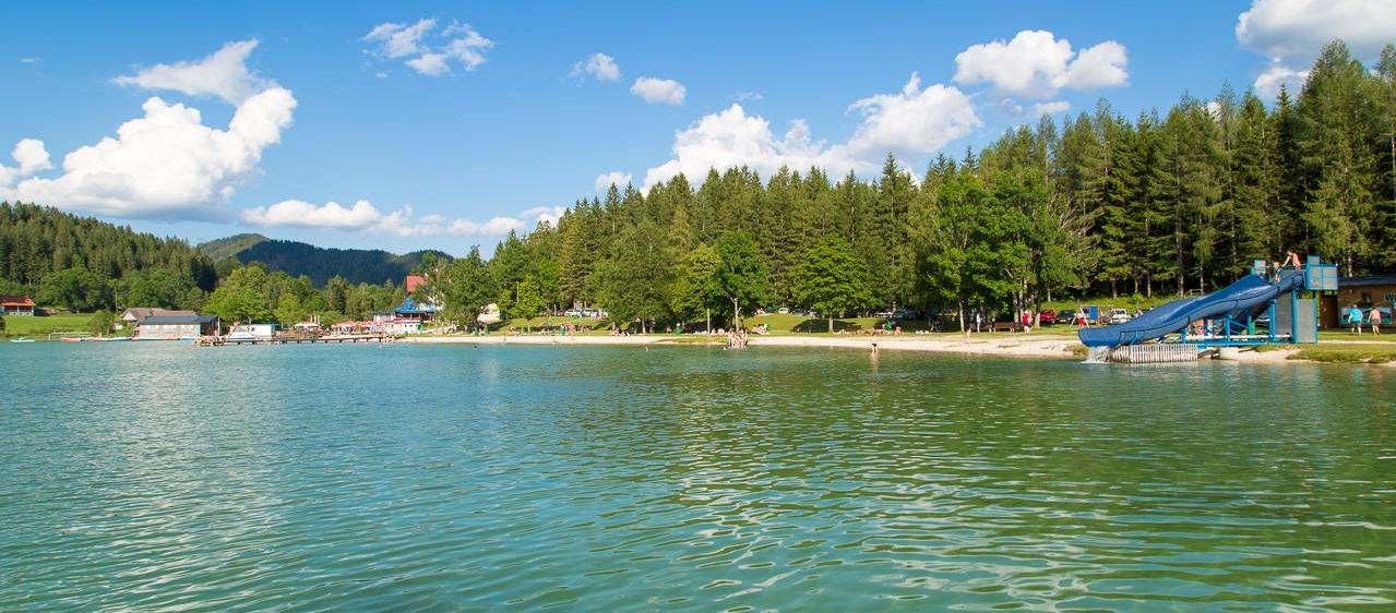 v1_migrated_image_39261478