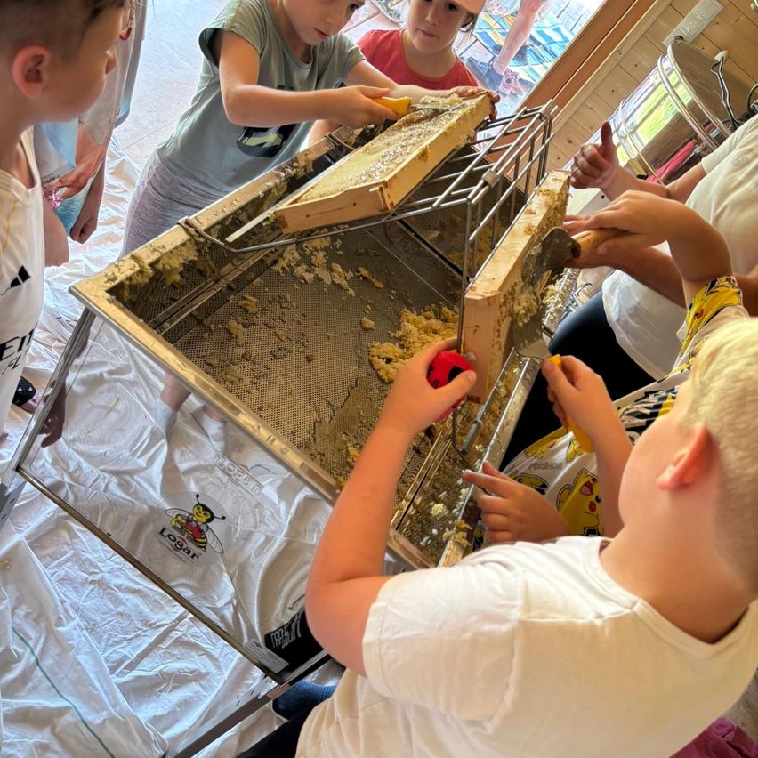Mehrere Kinder sind um einen Bienenraucher versammelt und entfernen Honigwaben von einem Bienenrahmen. Sie arbeiten zusammen, um Honig zu extrahieren.