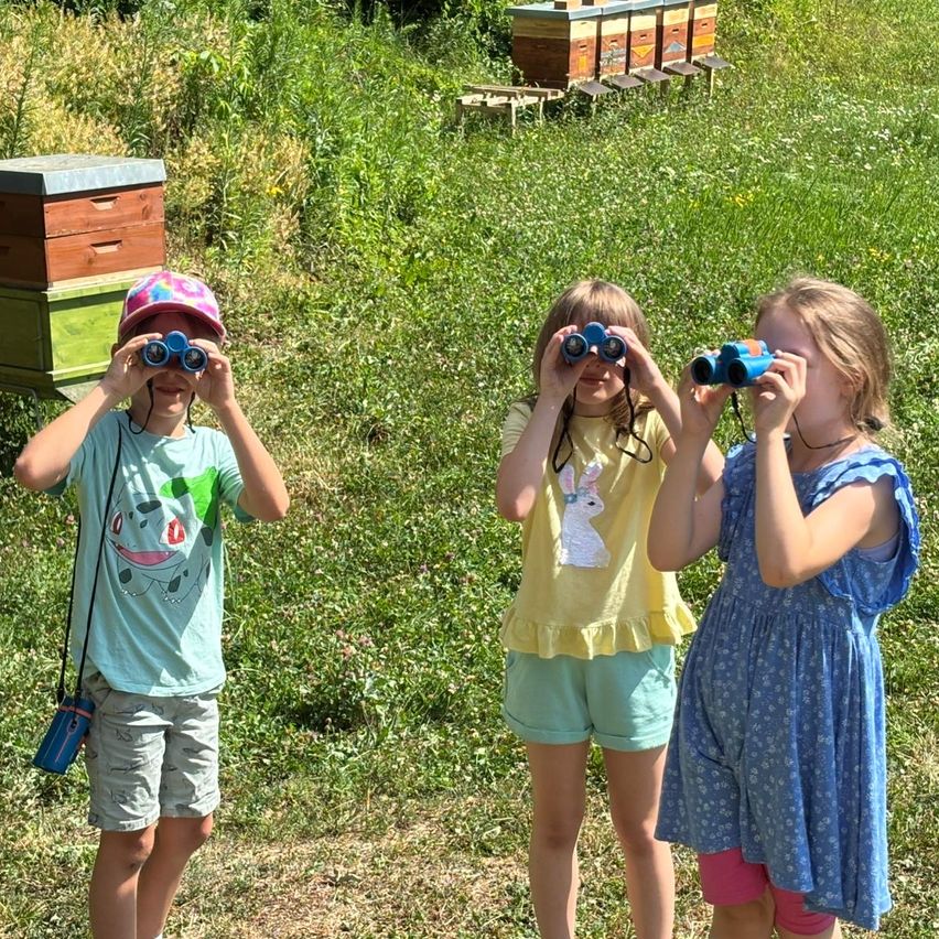 Drei Kinder stehen auf einem Rasen. Sie halten Ferngläser in den Händen. Hinter ihnen steht ein hölzerner Bienenstock. Sie scheinen etwas in der Ferne zu betrachten.