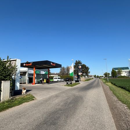 Eine leere Tankstelle steht neben einer ruhigen Straße. Ein Hund sitzt in der Nähe. Ein weißer Lieferwagen ist in der Ferne geparkt.