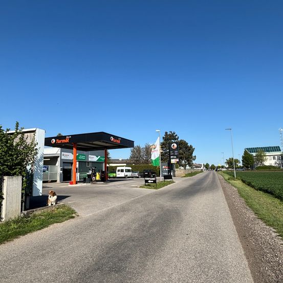 Eine leere Tankstelle steht neben einer ruhigen Straße. Ein Hund sitzt in der Nähe. Ein weißer Lieferwagen ist in der Ferne geparkt.