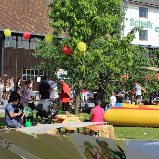Bild enthält, Neighborhood, Grass, Shelter, Summer, Person, Boat, Balloon, Adult, Male, Man