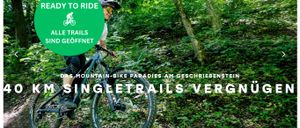 Bild enthält, Wheel, Boy, Male, Person, Teen, Bicycle, Vehicle, Helmet, Vegetation, Mountain Bike