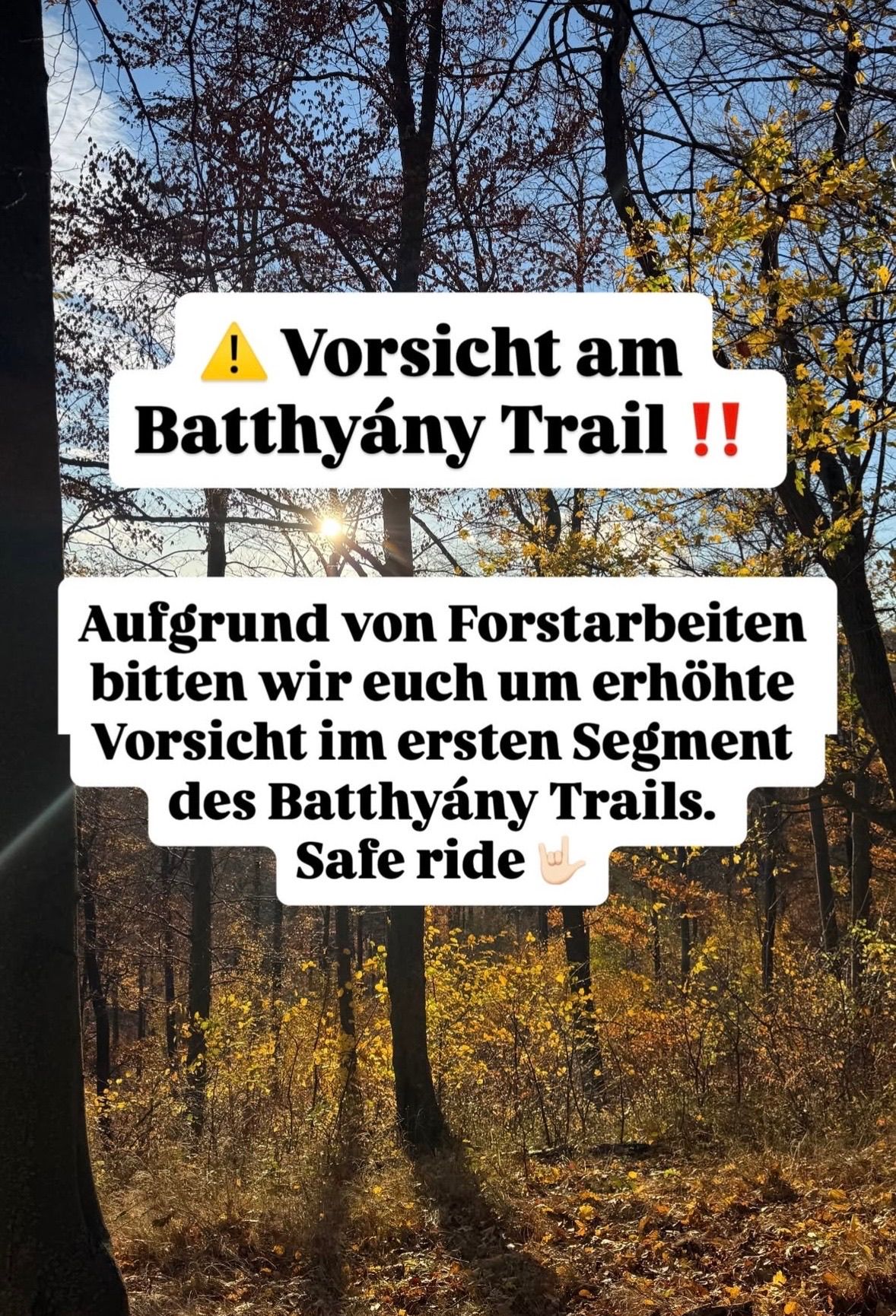 Ein Wald mit Bäumen in Herbstfarben. In der Mitte ist ein Warnhinweis auf Deutsch angebracht. Der Text lautet 'Vorsicht am Bathyany Trail!'. Unten ist eine Nachricht über Forstarbeiten zu sehen.