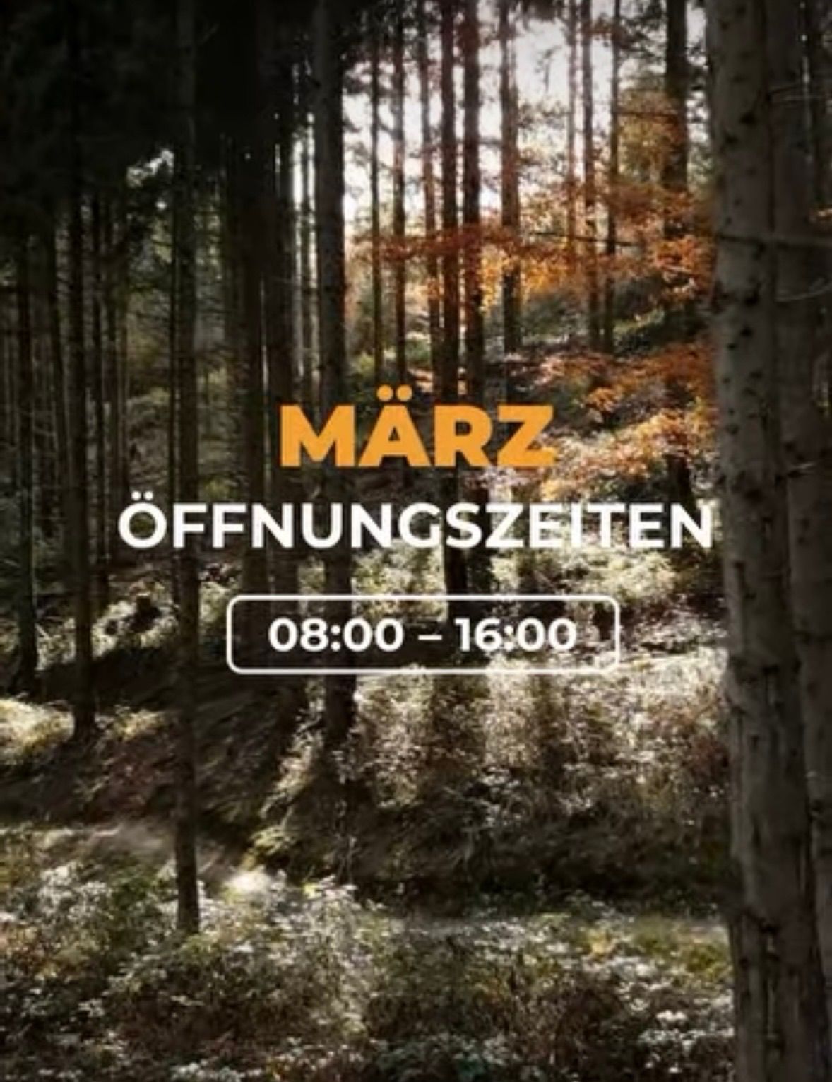 A forest landscape with autumn leaves. The words 'Marz Offnungszeiten' and '08:00 - 16:00' are displayed in the middle.