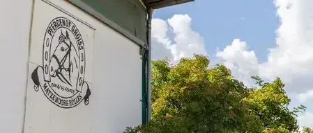 Ein weißes Gebäude mit einem Pferdeemblem an der Seite unter einem blauen Himmel mit Wolken.
