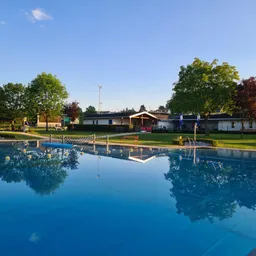 Ein großer Swimmingpool mit blauem Wasser und Reflexionen von Bäumen und einem Gebäude. Eine rote Bank befindet sich an der Seite.