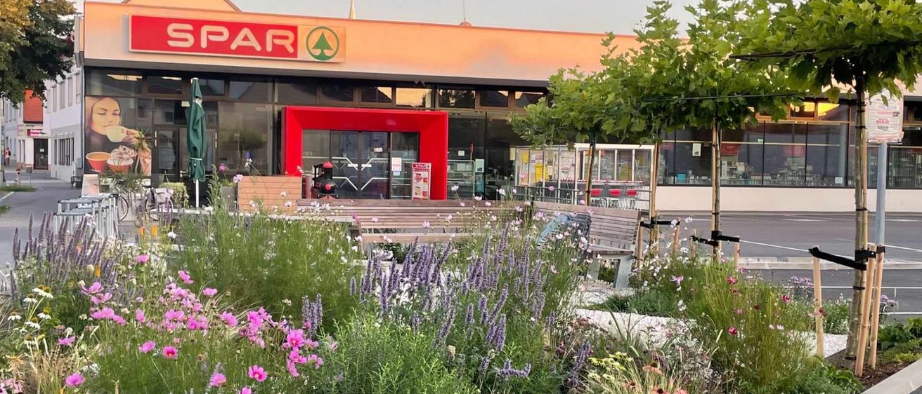 v1_migrated_image_15320377