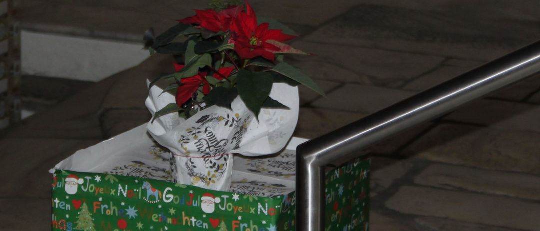 Eine Treppe führt zu einem Geschenkkarton mit einer roten Weihnachtssternblüte darauf. Der Karton ist in weihnachtlich bedrucktes Papier eingewickelt. Im Hintergrund sind eine weiße Tür und ein weiterer Geschenkkarton zu sehen.