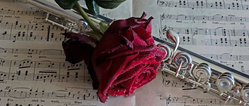 Ein Nahaufnahme einer roten Rose auf einem Musikblatt mit einer Flöte in der Nähe. Die Rose hat Blütenblätter mit leichten Tautropfen, und das Musikblatt ist alt und abgenutzt.