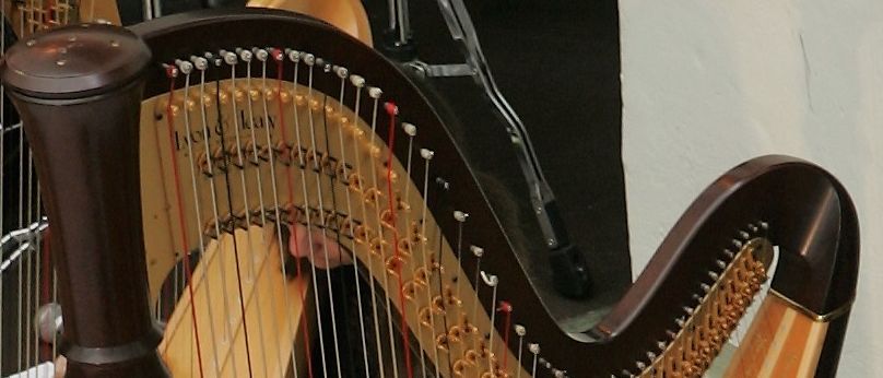 Ein junges Mädchen sitzt und spielt eine Harfe, während eine andere Person mit einer weiteren Harfe hinter ihr steht. Das Mädchen trägt eine Brille und ein Blumenkleid.