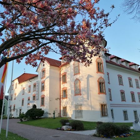 Ein großes weißes Gebäude mit rotem Dach und vielen Fenstern steht unter einem blühenden Baum. Ein Fahnenmast steht neben ihm, und ein Gehweg führt zum Eingang.