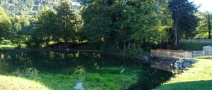 Ein ruhiger See mit grünen Algen, umgeben von üppigem Baumbestand, einer Holzbrücke im Vordergrund und einer Bergkette im Hintergrund.