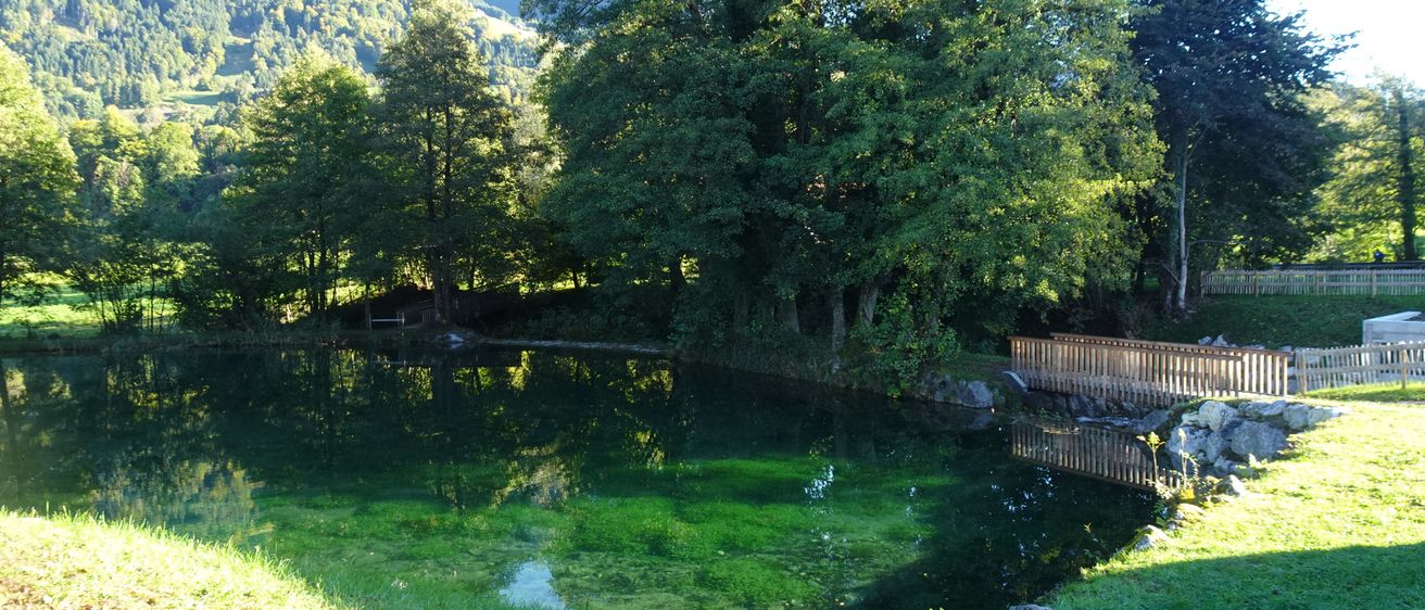 Ein ruhiger See mit grünen Algen, umgeben von üppigem Baumbestand, einer Holzbrücke im Vordergrund und einer Bergkette im Hintergrund.