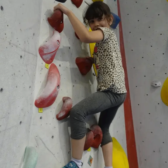 Ein kleines Mädchen klettert an einer Kletterwand mit verschiedenen farbigen Griffen, darunter rot, gelb und blau. Sie trägt ein Leoparden-Shirt und graue Hosen.