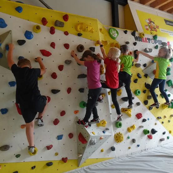 Fünf Kinder klettern an einer Kletterwand mit verschiedenfarbigen Griffen. Sie tragen Turnschuhe und bunte Shirts.