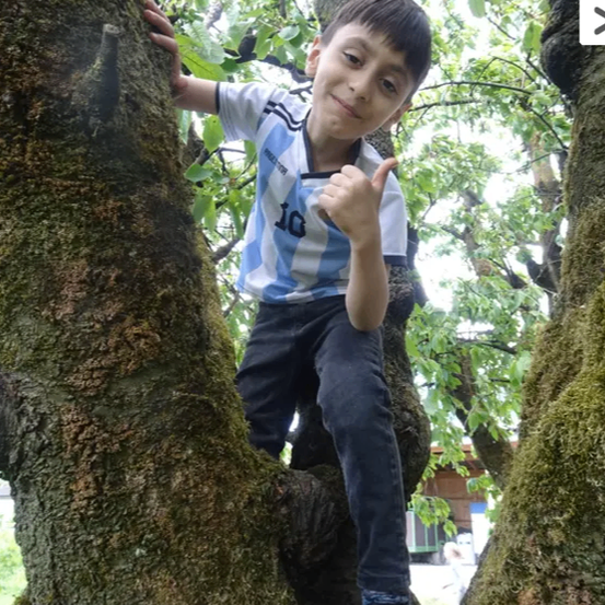 Ein Junge in einem blau-weißen Shirt klettert auf einen Baum und macht ein Friedenszeichen mit der Hand.