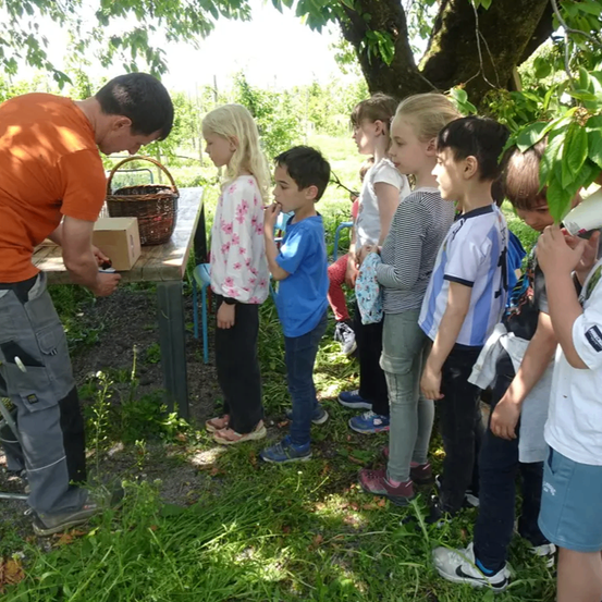 Ein erwachsener Mann in einem orangefarbenen T-Shirt zeigt einer Gruppe von Kindern einen Korb und eine Kiste auf einem Tisch in einem Park.