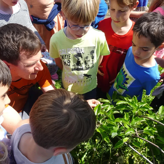 Eine Gruppe von Kindern und einem Mann untersucht eine Pflanze, wobei ein Junge eine Brille trägt und ein gelbes T-Shirt mit der Aufschrift California Skate.
