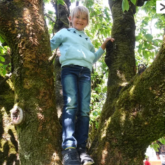 Ein junger Junge klettert auf einen moosbedeckten Baum, trägt ein hellblaues Sweatshirt und dunkle Jeans und lächelt, als er für ein Foto posiert.