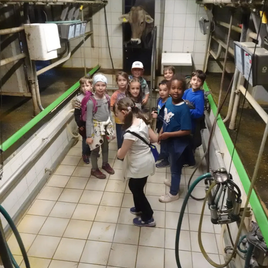 Eine Gruppe von Kindern steht in einem Milchviehstall und beobachtet den Melkprozess. Eine Kuh ist durch die Tür sichtbar.