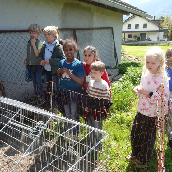 Eine Gruppe von Kindern steht hinter einem Drahtzaun und schaut in einen Metallkäfig. Ein weißes Haus und grüner Rasen sind im Hintergrund.