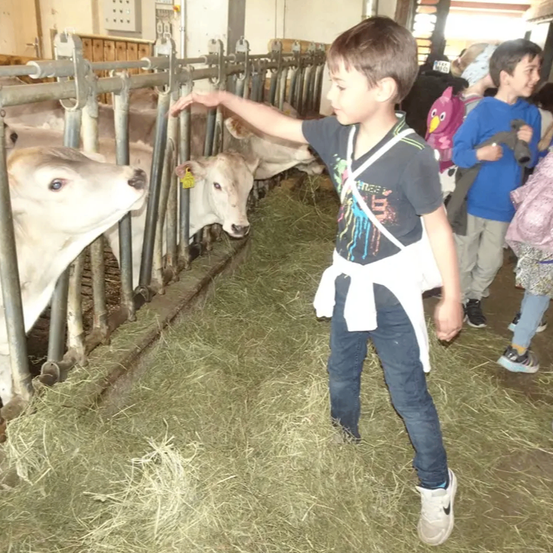 Ein Junge füttert eine Kuh in einer Scheune mit Heu auf dem Boden. Andere Kinder und Erwachsene sind in der Nähe.