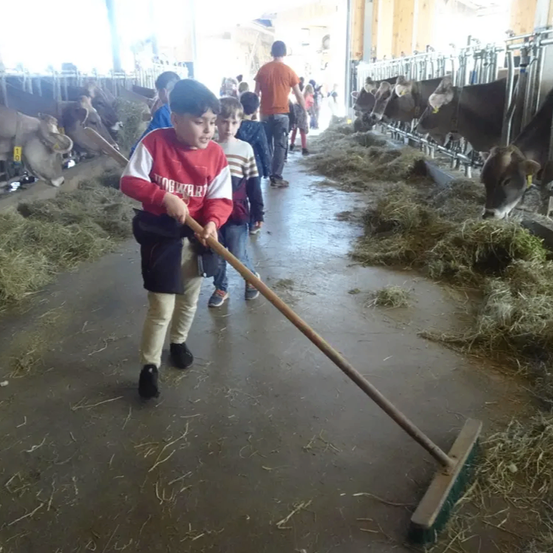 Ein junger Junge fegt den Boden in einer Scheune, während im Hintergrund Kühe grasen. Mehrere Kinder und Erwachsene sind anwesend, einige beobachten die Kühe.