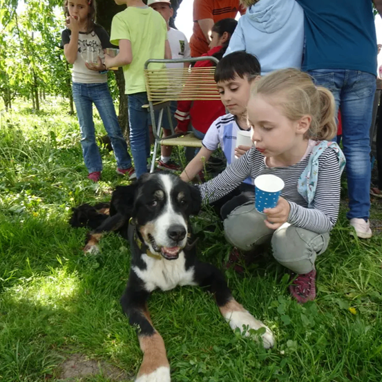 Ein Mädchen füttert einen Hund, während andere zusehen. Der Hund ist schwarz, weiß und braun. Einige Leute stehen hinter ihnen.