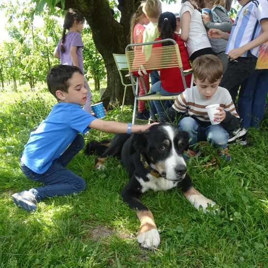 Zwei Jungen knien auf dem Gras, einer streichelt einen schwarz-weißen Hund. Dahinter stehen mehrere Kinder um einen Baum und halten Tassen.