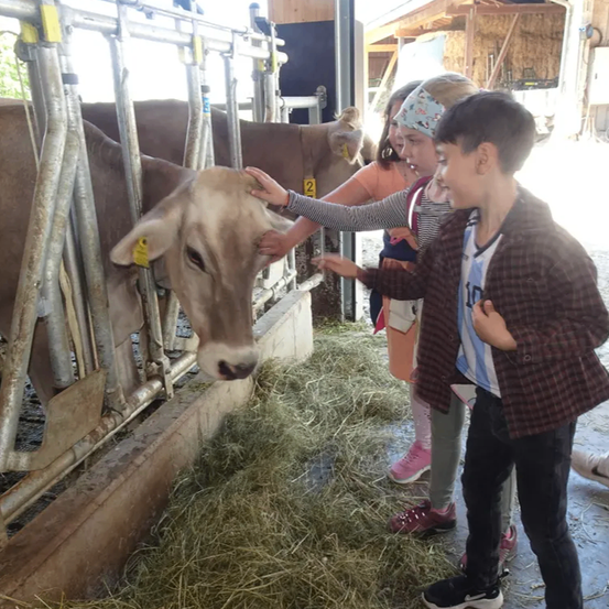Drei Kinder interagieren mit einer Kuh in einer Scheune. Ein Mädchen streichelt das Gesicht der Kuh, während ein anderes ihr Ohr hält. Ein Junge schaut zu, alle stehen auf heugedecktem Boden.