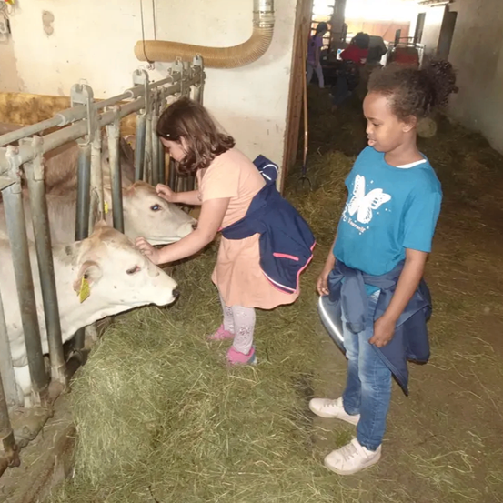 Zwei Kinder sind in einer Scheune mit Kühen. Ein Mädchen streichelt eine Kuh, und ein anderes Kind beobachtet. Die Scheune hat Metallzäune, Heu und eine Rohrleitung an der Wand.