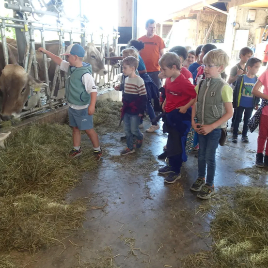 Eine Gruppe von Kindern, einige mit Brille, beobachten Kühe in einer Scheune. Ein Kind in einer grünen Weste füttert eine Kuh.