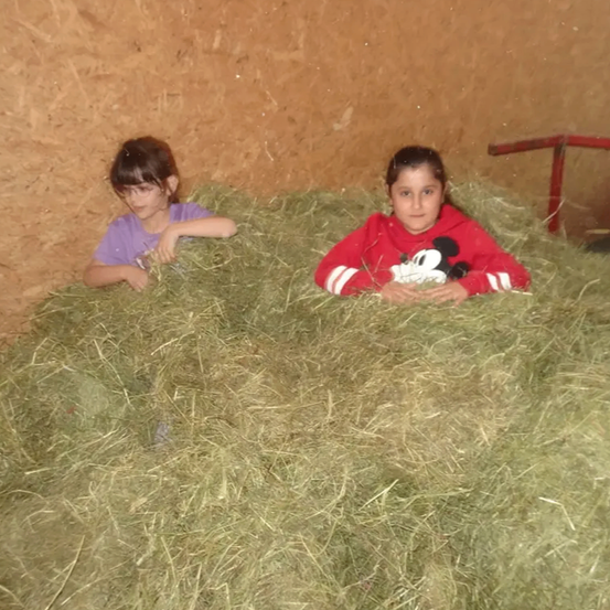 Zwei Mädchen liegen in einem Heuboden. Eine trägt ein lila Shirt und die andere eine rote Kapuzenjacke mit Mickey Mouse-Aufdruck. Der Heuboden ist an einer Holzwand.