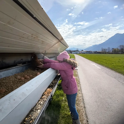 Ein Mädchen in einer rosa Jacke und einem rosa Hut sammelt Eier aus einem Behälter am Straßenrand.