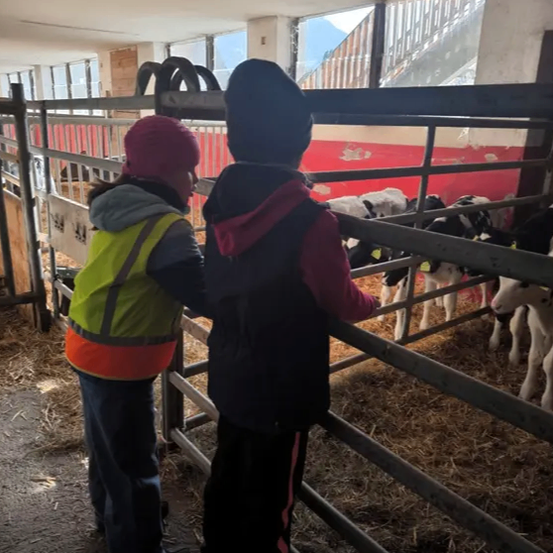 Zwei Kinder in Winterkleidung betrachten junge Kälber in einer Scheune mit Heu auf dem Boden.