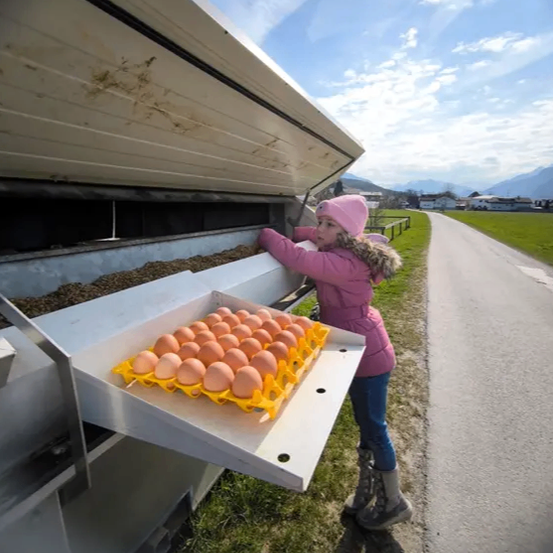 Ein Mädchen sammelt Eier aus einer Eierlegemaschine am Straßenrand unter einem bewölkten Himmel.