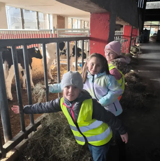 Drei Kinder besuchen eine Scheune mit Kühen. Zwei von ihnen lächeln und stehen hinter dem Zaun. Das Mädchen in der Mitte schaut nach vorne und posiert für ein Foto.