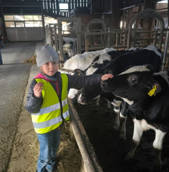 Ein junges Kind in einem gelben Warnweste steht in einer Scheune und streckt die Hand aus, um eine Kuh zu streicheln. Hinter dem Kind sind zwei Kühe zu sehen, und die Scheune ist mit Heu gefüllt.