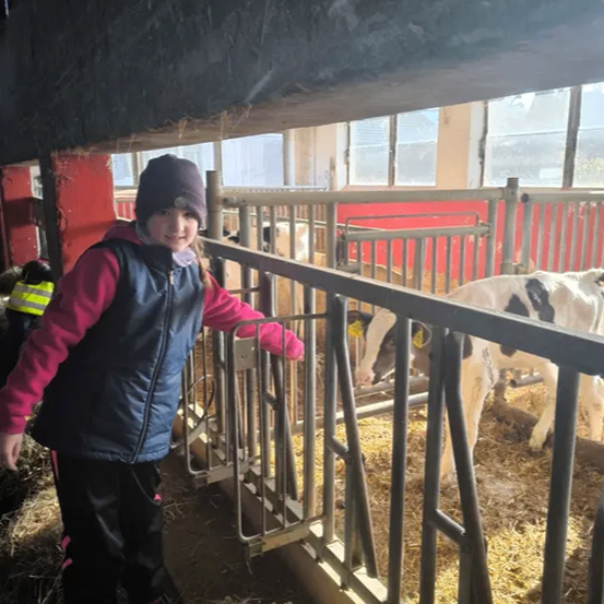 Ein junges Mädchen steht neben einem Metallzaun, lächelt und hält sich daran fest. Hinter ihr grast ein Kalb auf Heu. Die Umgebung ist ein überdachter Stall mit Glasfenstern und einer roten Wand.