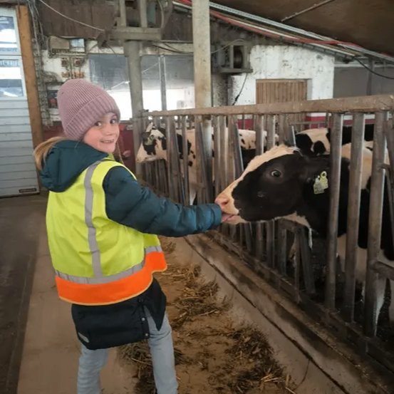 Ein junges Mädchen füttert eine Kuh in einer Scheune. Das Mädchen trägt eine gelbe Weste und eine rosa Mütze. Die Kuh hat einen Ohrring.