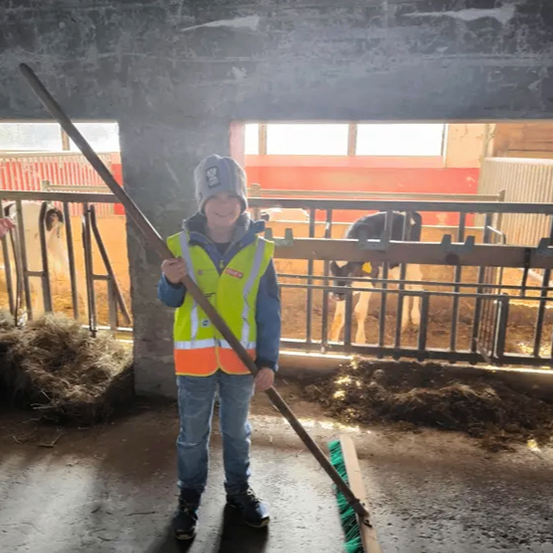 Ein junger Junge in einer Warnweste reinigt den Boden mit einem Besen in einer Scheune, in der Kühe hinter dem Zaun stehen.