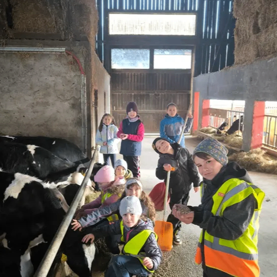 Mehrere Kinder, einige mit Warnwesten bekleidet, interagieren mit Kühen in einer Scheune. Einige Kinder füttern die Kühe, während andere beobachten.