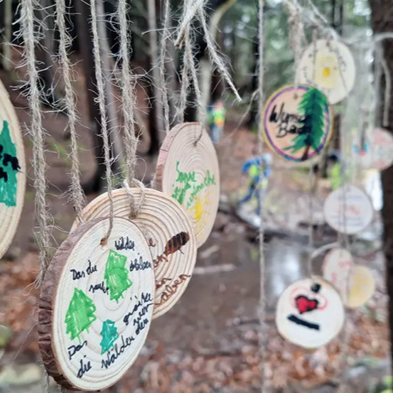 Eine Sammlung von Holzscheiben hängt von Baumzweigen in einem Wald. Jede Scheibe ist handgezeichnet mit Illustrationen und Text, aufgehängt an weißen Schnüren. Die Scheiben sind in einer kreisförmigen Formation angeordnet und bilden eine dekorative Ausstellung.